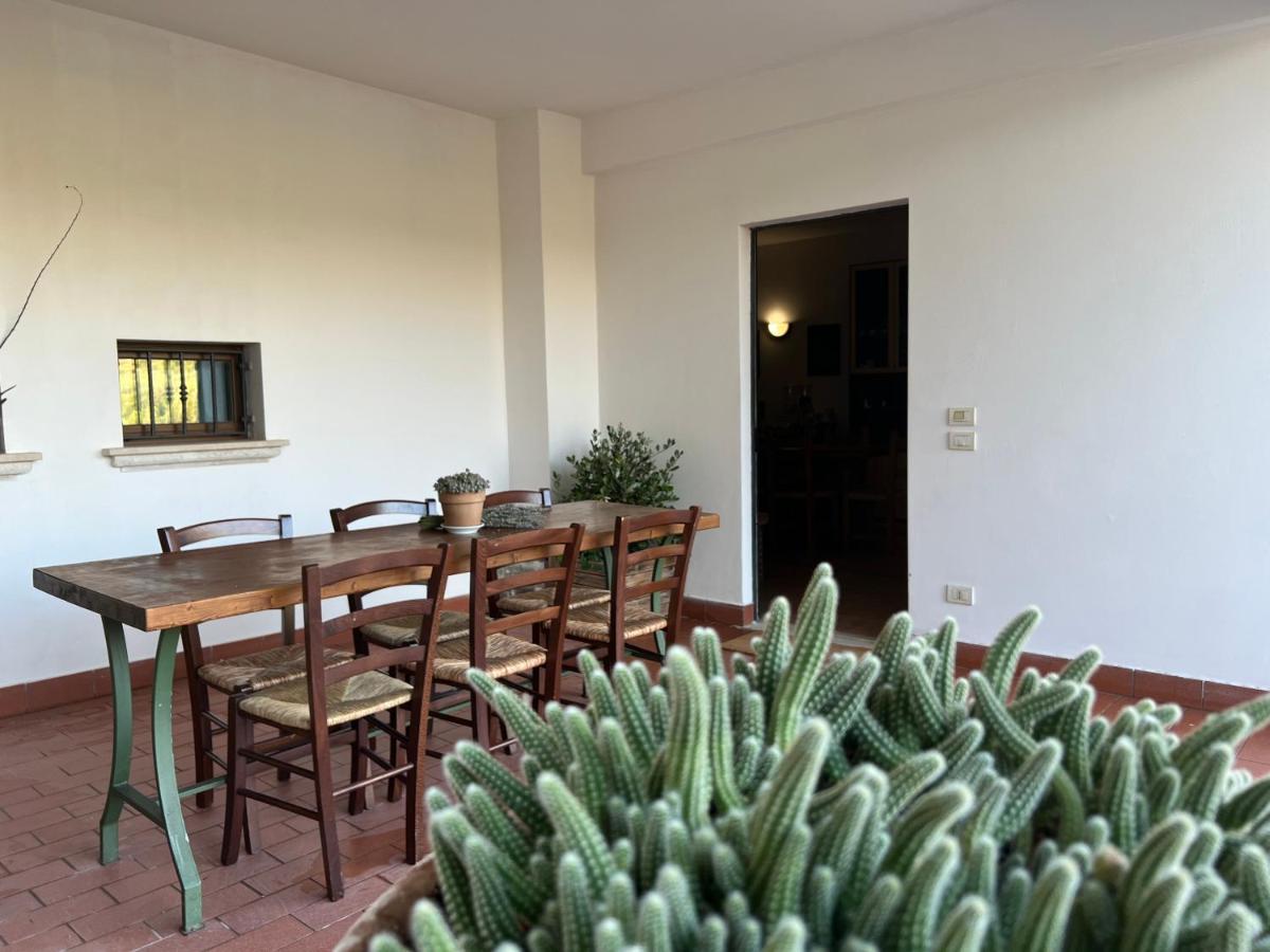 La Casa Di Demetra. Un Paradiso Tra Gli Olivi. Монтеккьо Экстерьер фото